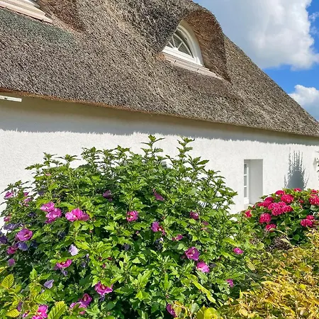 Reethus Rosengarten * Lehe (Schleswig-Holstein)